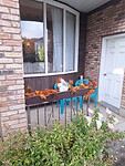 Voorbereiding Haloween