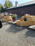 Haloween versiering