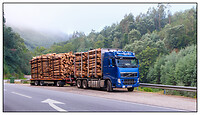 Onderweg veel trucks met hout transport