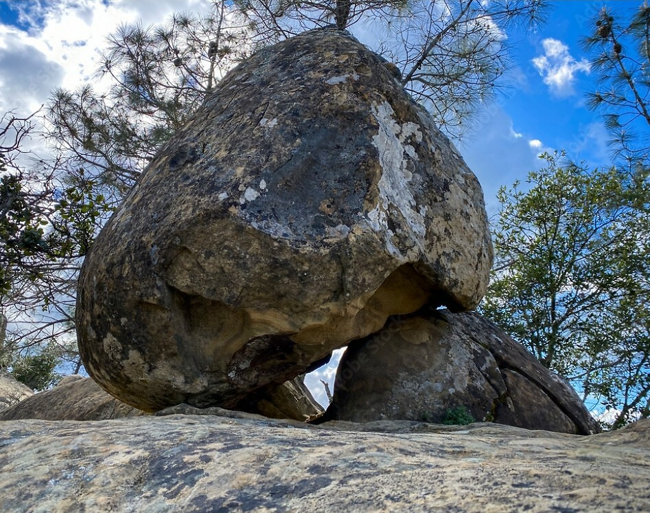 Wind Cave National Park , South Dakota