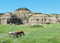 Theodoor Rooseveld National Park , North Dakota