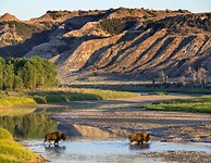 Theodoor Rooseveld  National  Park , North Dakota