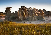 Theodoor Rooseveld National Park , North Dakota