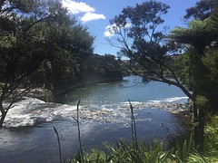IMG_4921