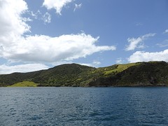 P1050746