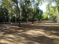 IMG_20190814_185450