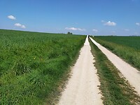 IMG20230418115236
