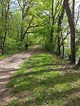 IMG20230421121816