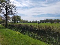 IMG20230421130840