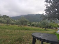 IMG20230714183653