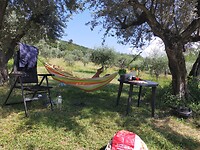 IMG20230715160810