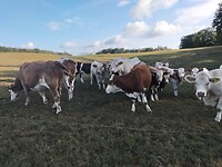 IMG20231008161823