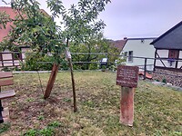 IMG20231008101743
