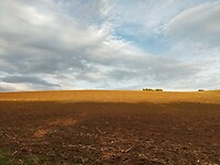 IMG20231013165552