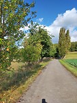 IMG20231014142450