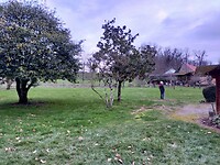 IMG20240224182143