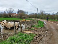 IMG20240225110434