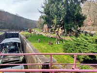 IMG20240229114558