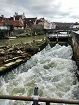 IMG20240301141301