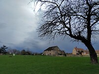 IMG20240302133738