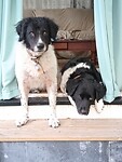 IMG_20250831_200848339