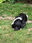 IMG_20250831_192736556