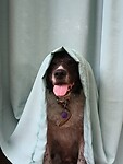 IMG_20250831_154700415
