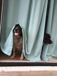 IMG_20250831_154655299