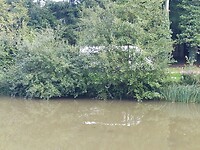 Plekkie vier 2