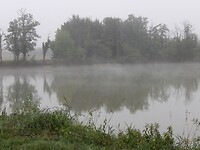 foggy morning