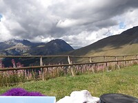 picknick 1