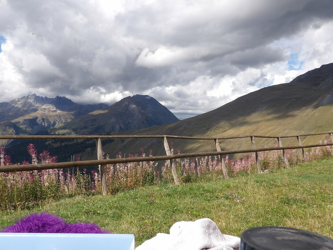 picknick 1