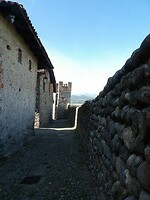 Rigetto di Candelo 1