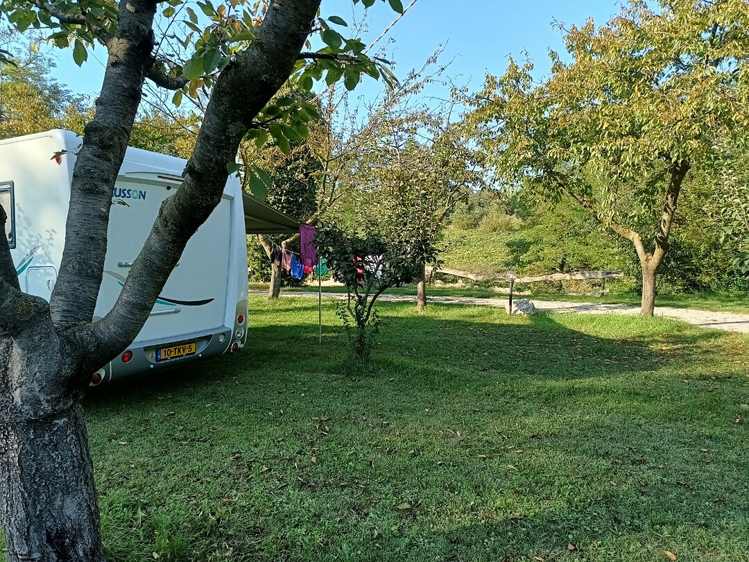 Le Volpi 2