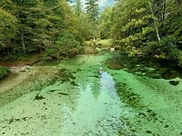Bohinj 7