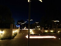 Resortvogels,  nachtmeeuwen