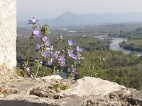 Shkodër, Albanië