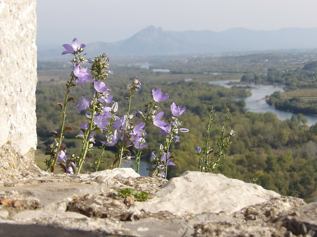 Shkodër, Albanië