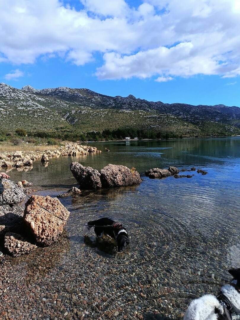 Seline, Kroatië