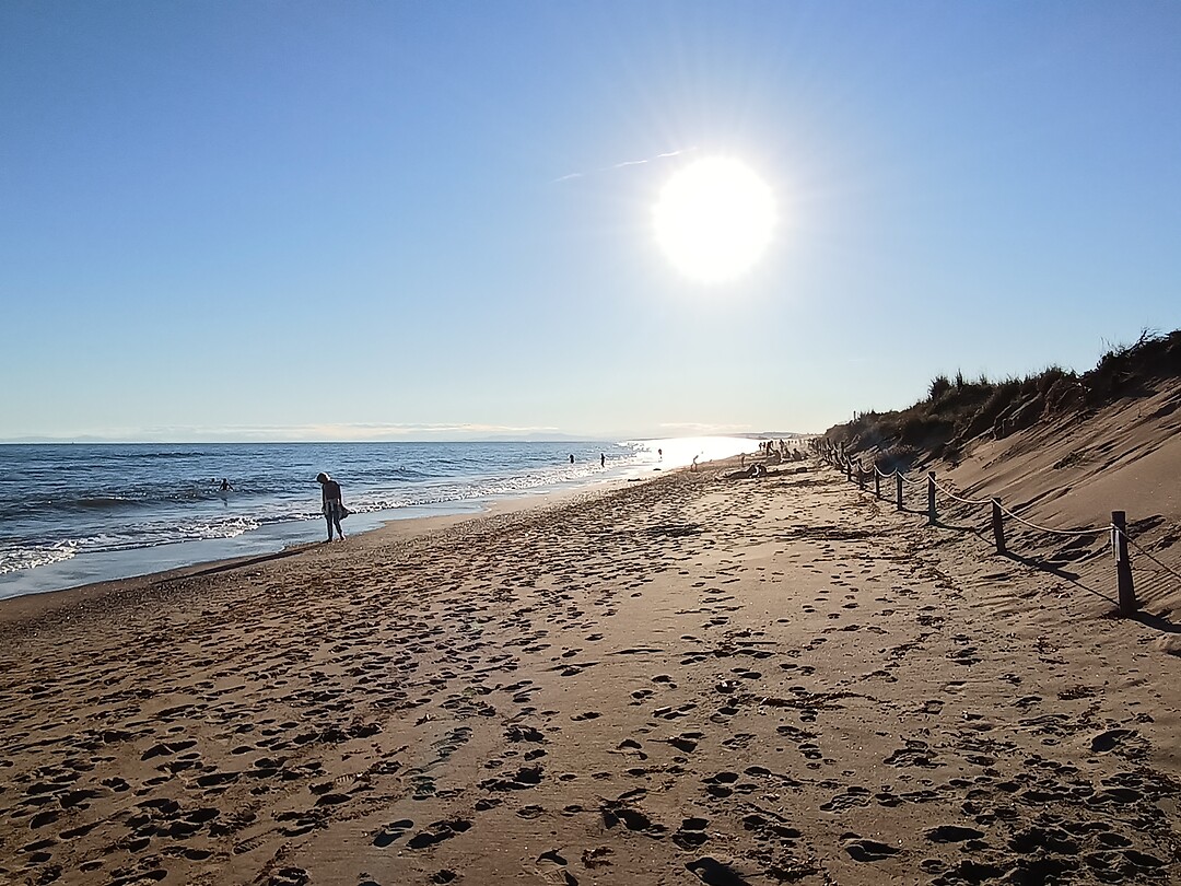 Beachlife