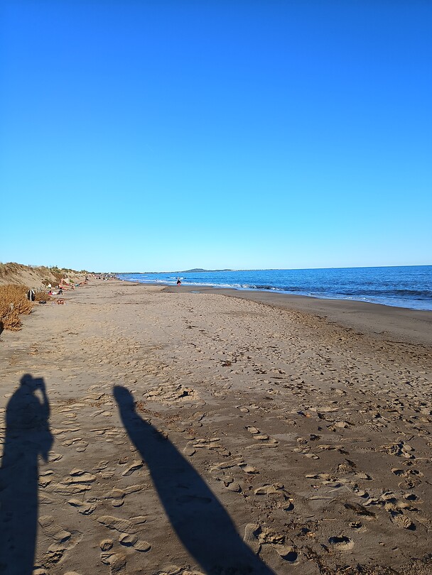Beachlife