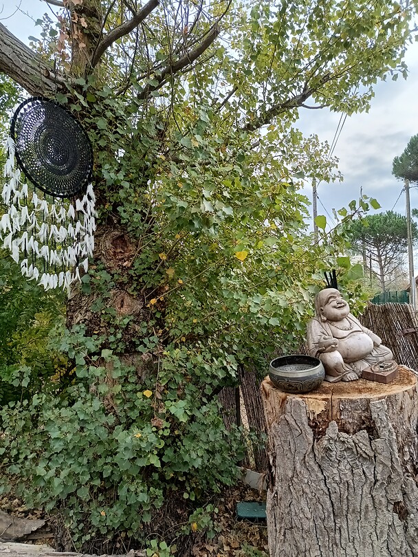 Vertuoze
