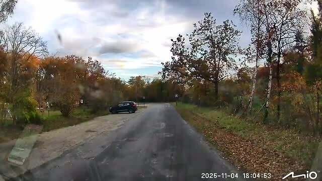 Aankomst in herfstbos