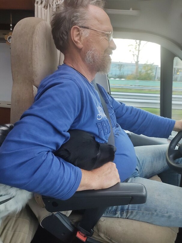 Viervoets bijrijder