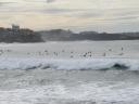 Surfers in Manly