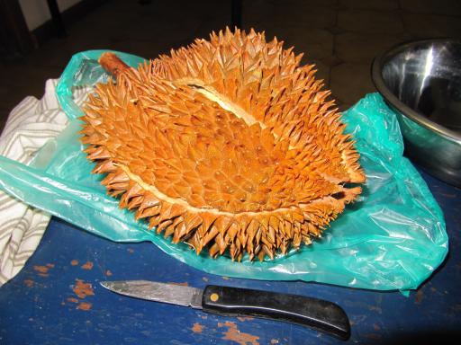 Durian