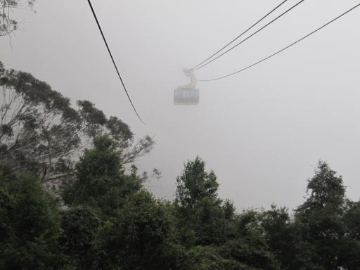 Scenic Cableway