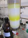Column