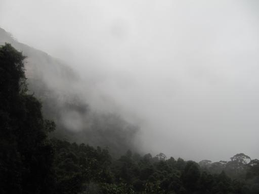 Katoomba