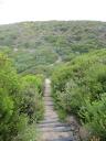 Bushwalk